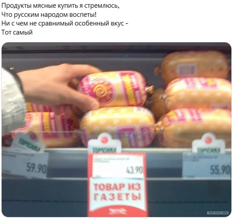 Всюду рифмы