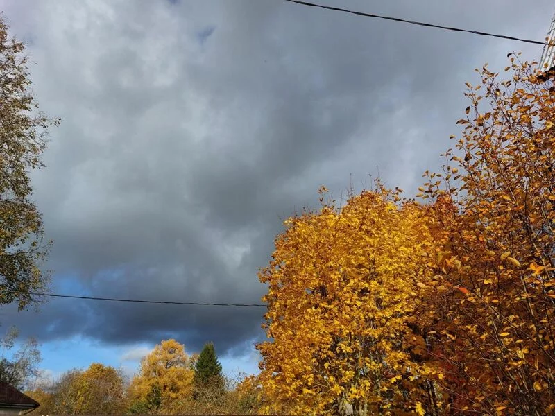 Такое разное небо