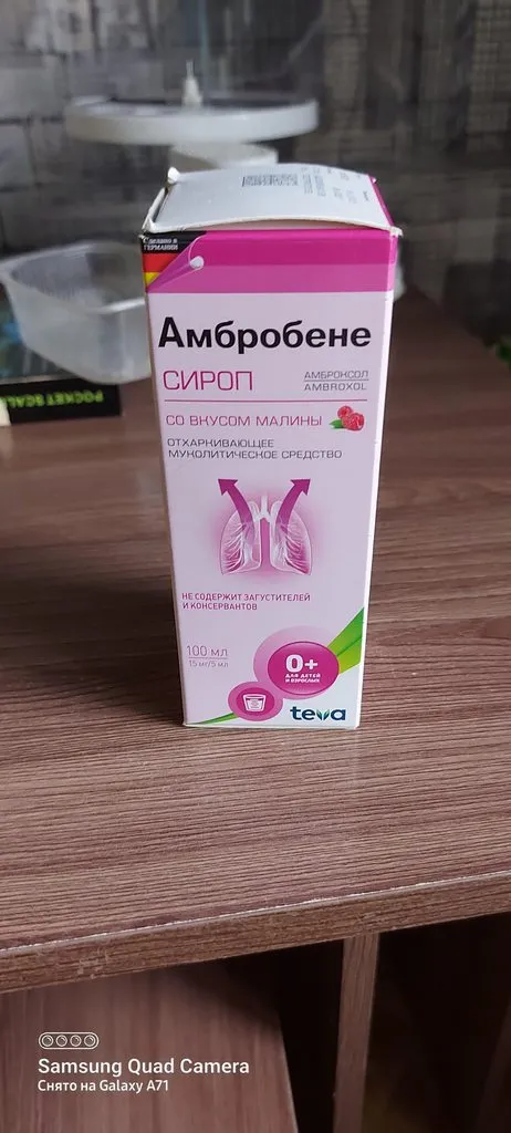 Tapтaлeтки & Ко