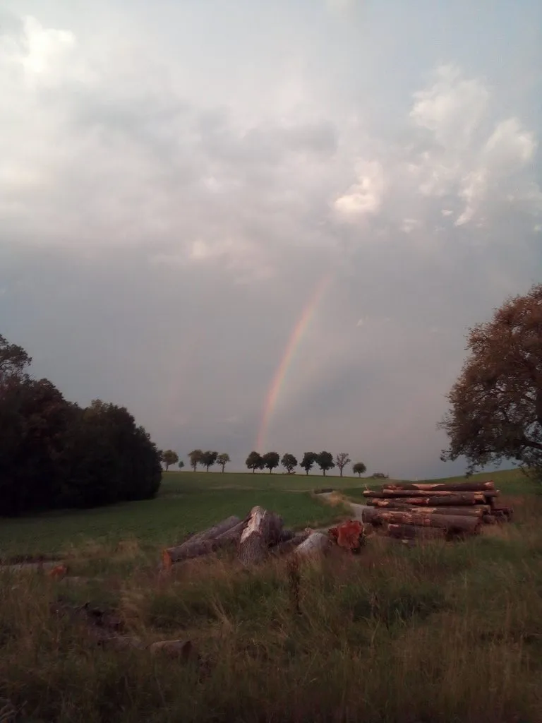 Чайная беседка