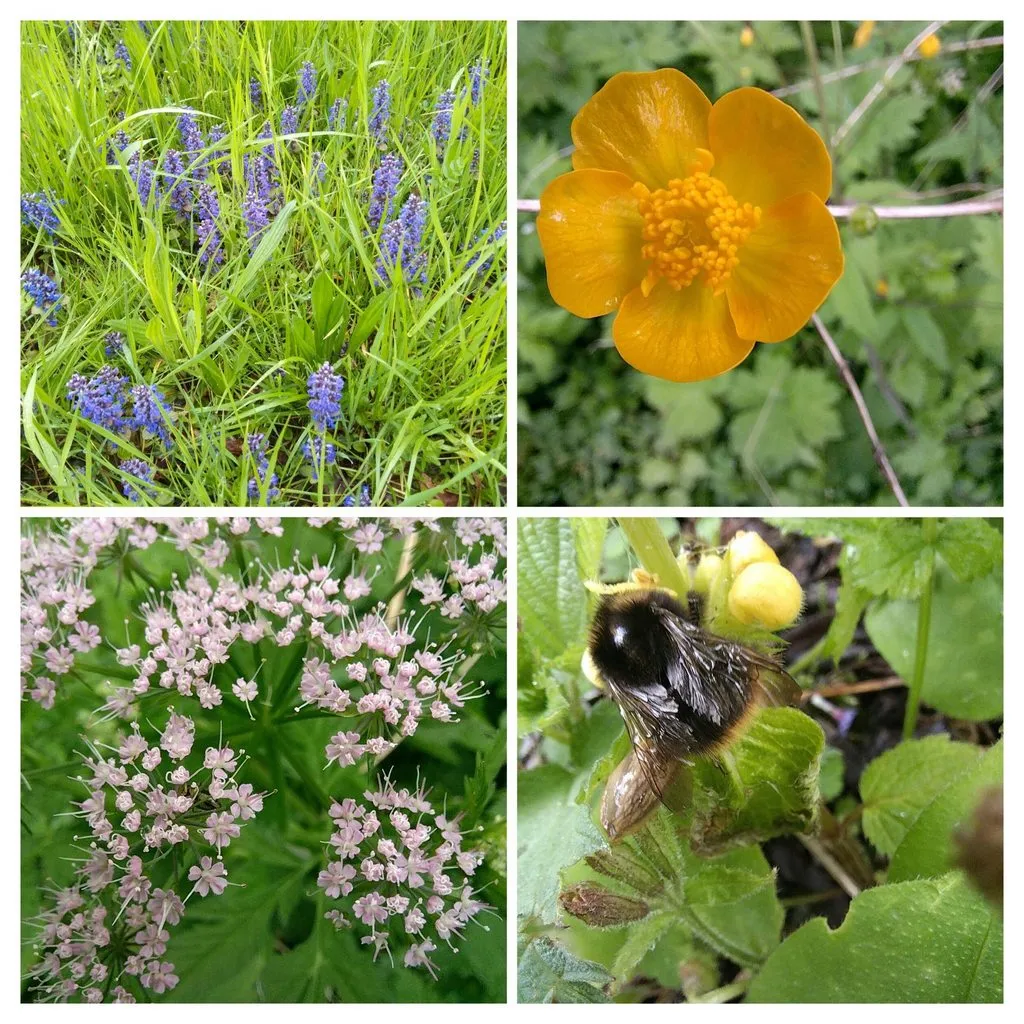 Чайная беседка