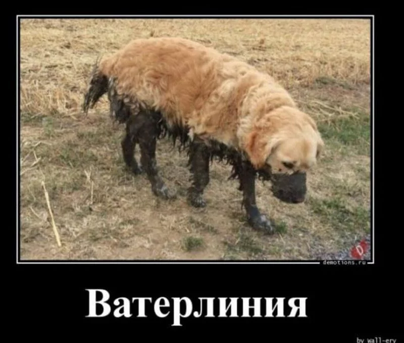 Посмеялся сам - поделись с другом!!!