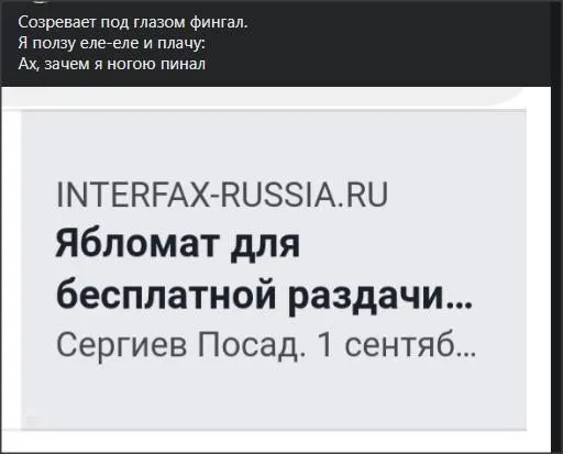 Всюду рифмы