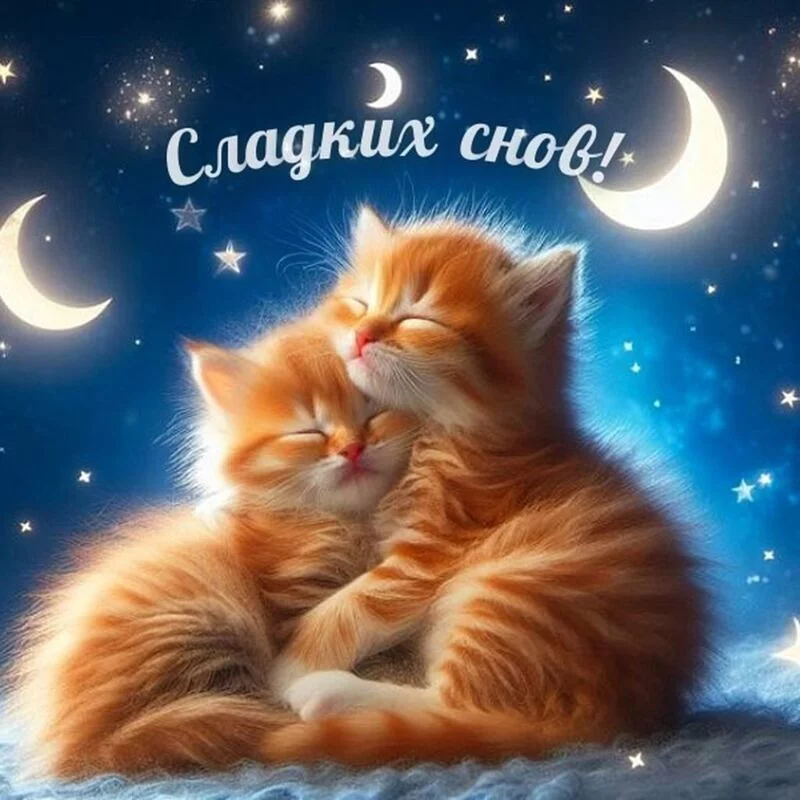 Кафе "У пани Сони"
