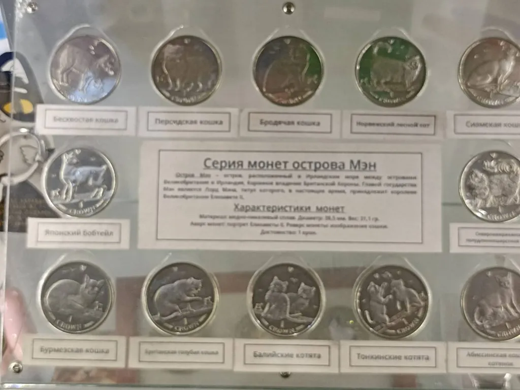 Калининградская область (не только море и янтарь) 