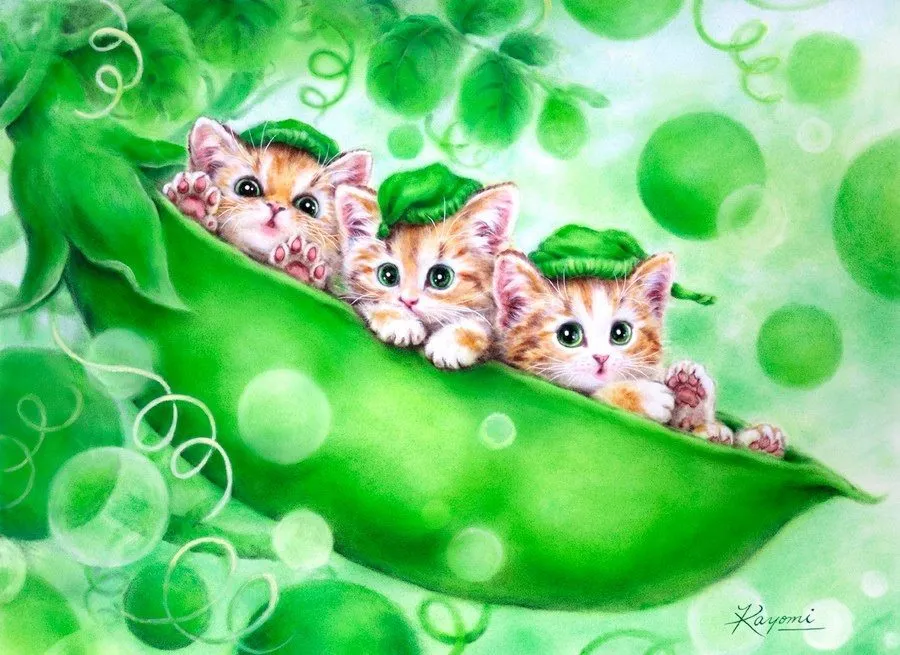 Кафе «У пани Сони»