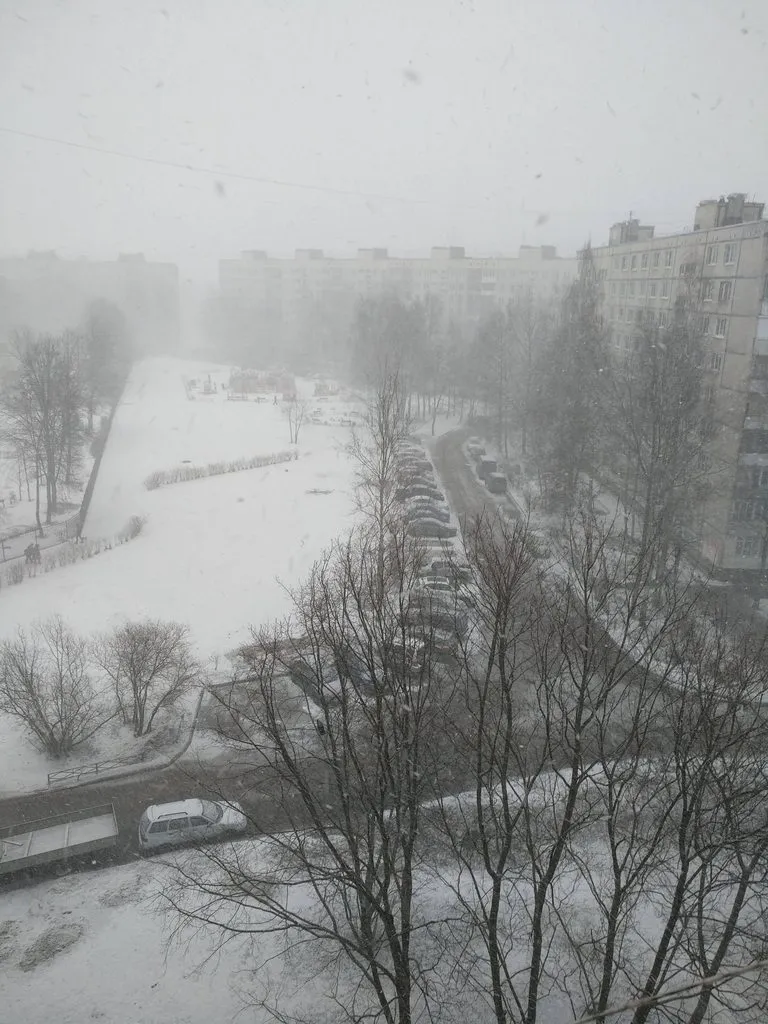 Tapтaлeтки & Ко