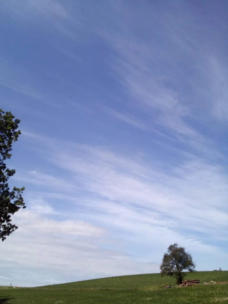 Чайная беседка