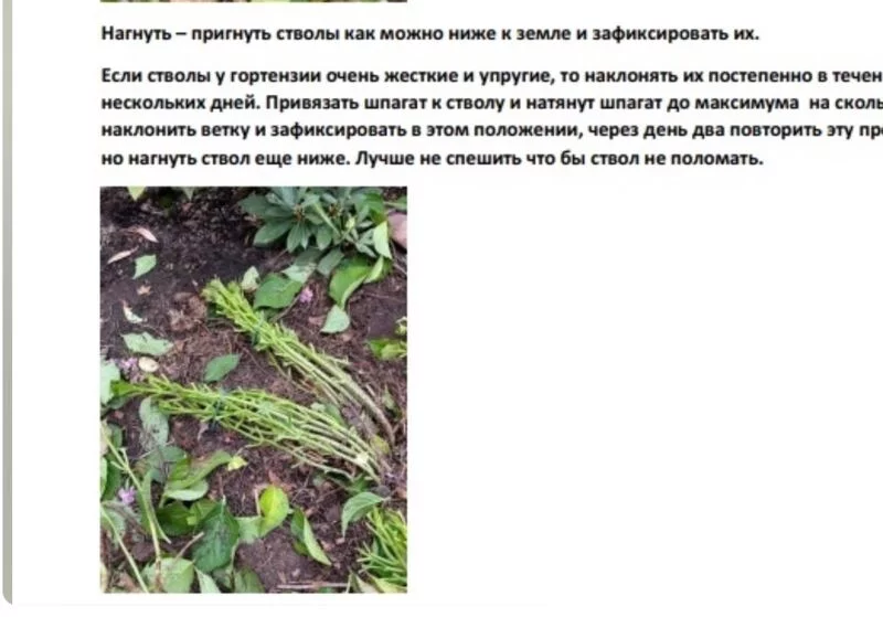 Загородная жизнь - обустройство на своей земле во всем ее разнообразии