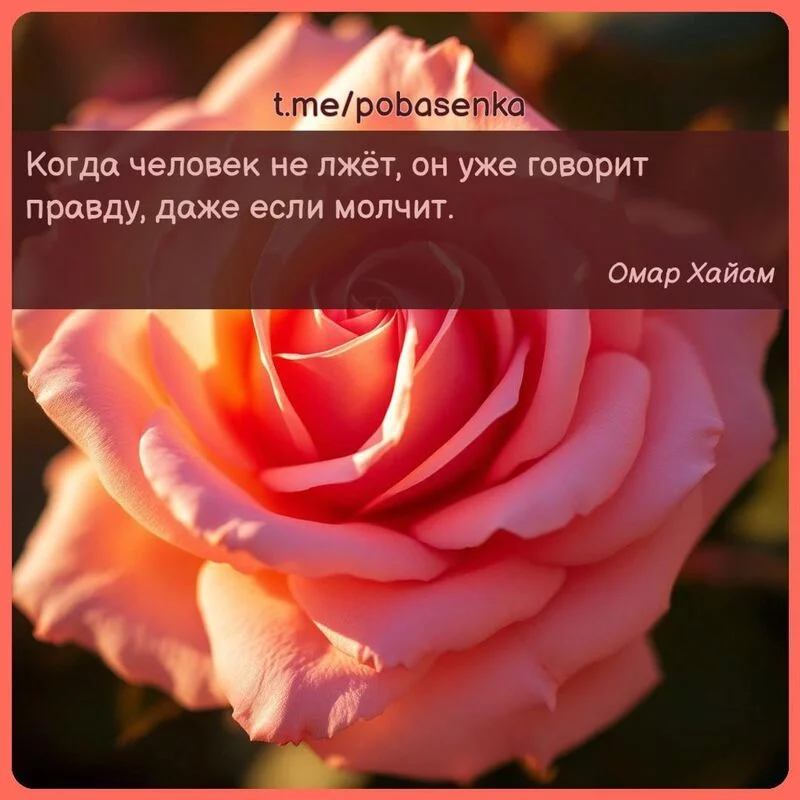 «Когда человек не лжёт, он уже говорит правду, даже если...» height="550" width="550"