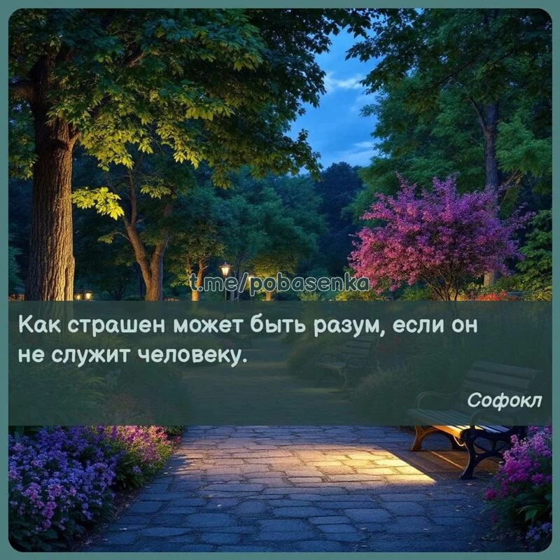«Как страшен может быть разум, если он не служит...» height="550" width="550"