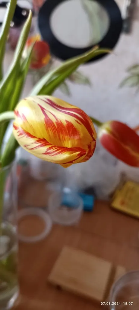 Чайная беседка