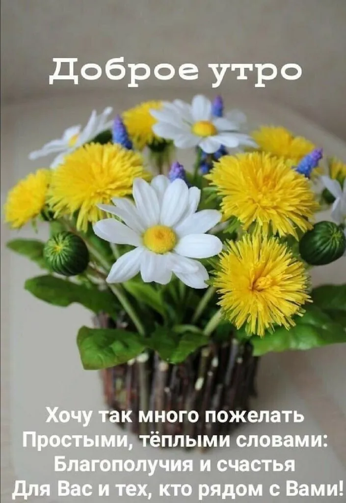 Tapтaлeтки & Ко