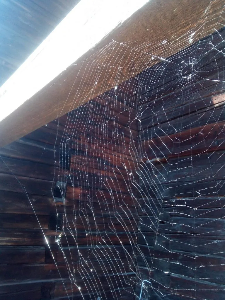 Чайная беседка