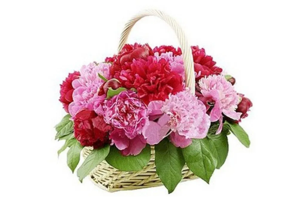 Кафе «У пани Сони»