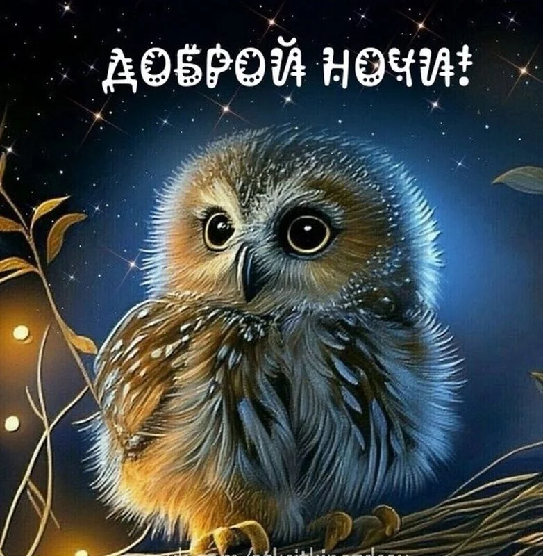 Кафе "У пани Сони"