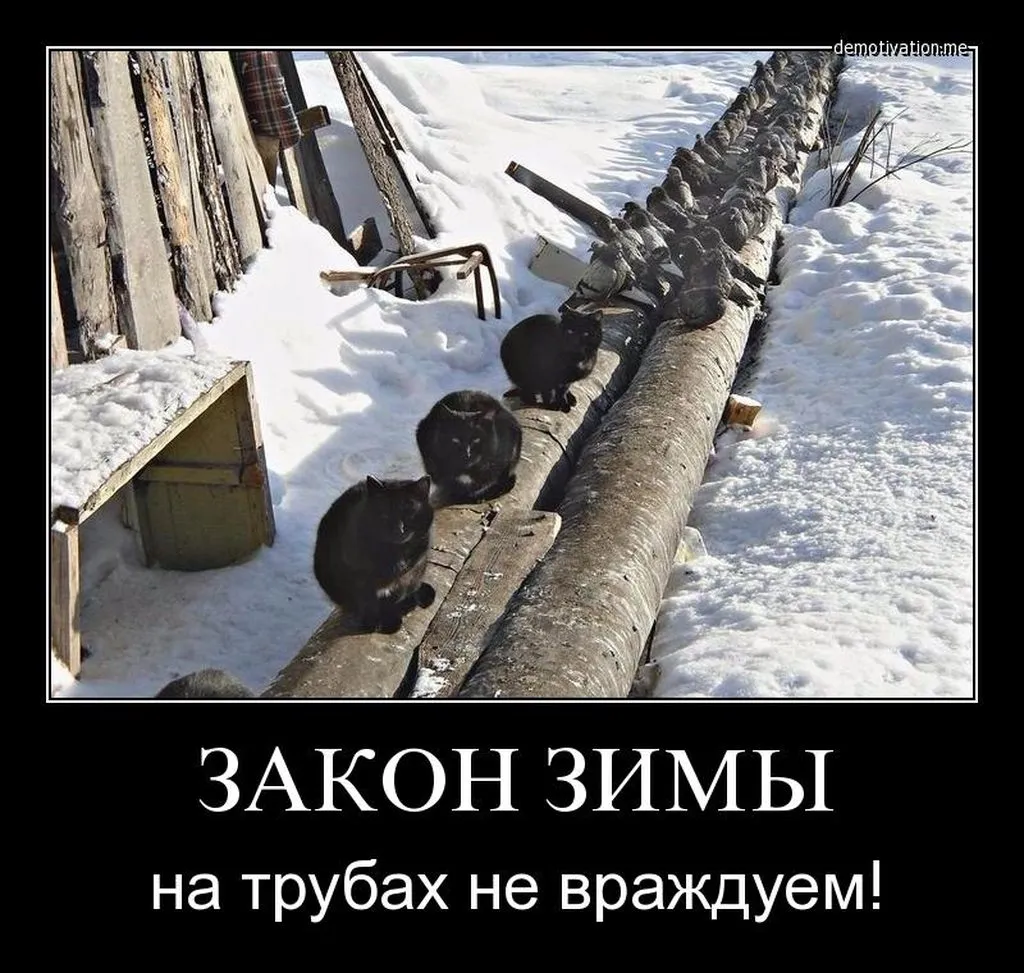 Посмеялся сам - поделись с другом!!!