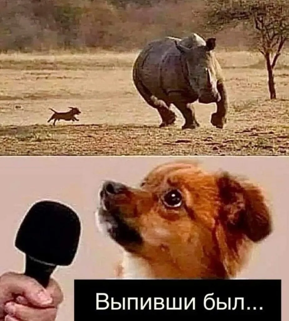 Посмеялся сам - поделись с другом!!!