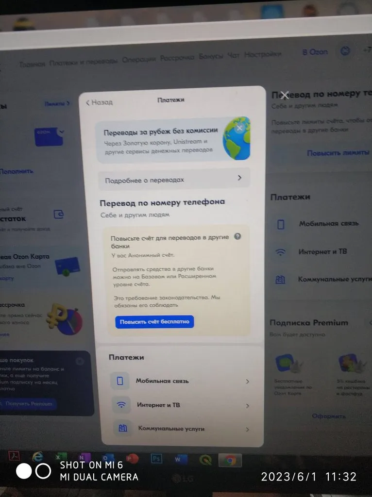 Что происходит с Ozon?