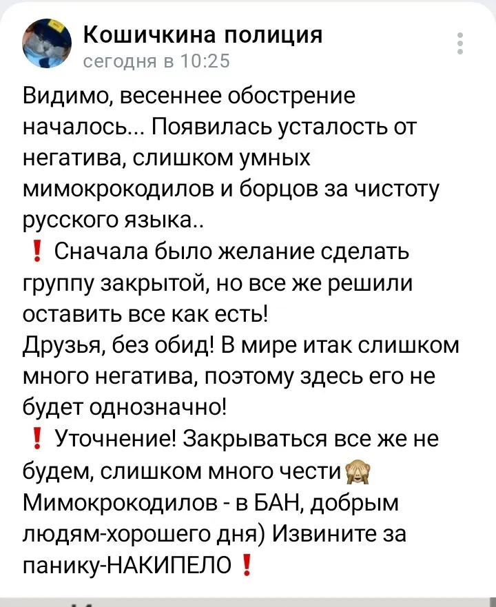 Кошичкина полиция