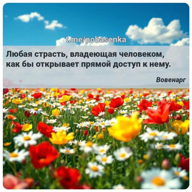 «Любая страсть, владеющая человеком, как бы открывает прямой доступ к...» height="550" width="550"
