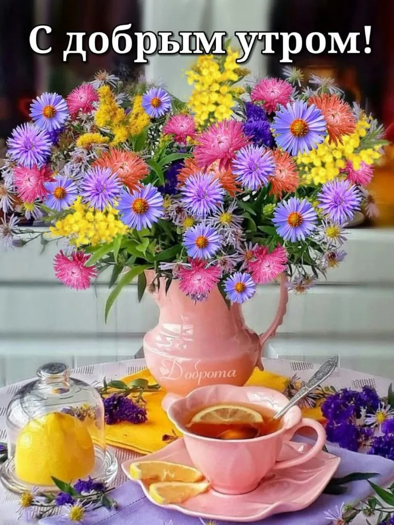 Чайная беседка