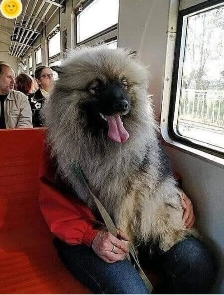 Посмеялся сам - поделись с другом!!!