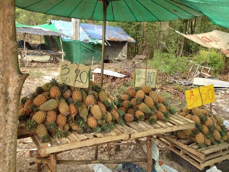 Чайная беседка