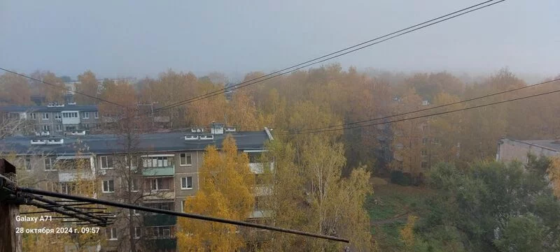 Чайная беседка