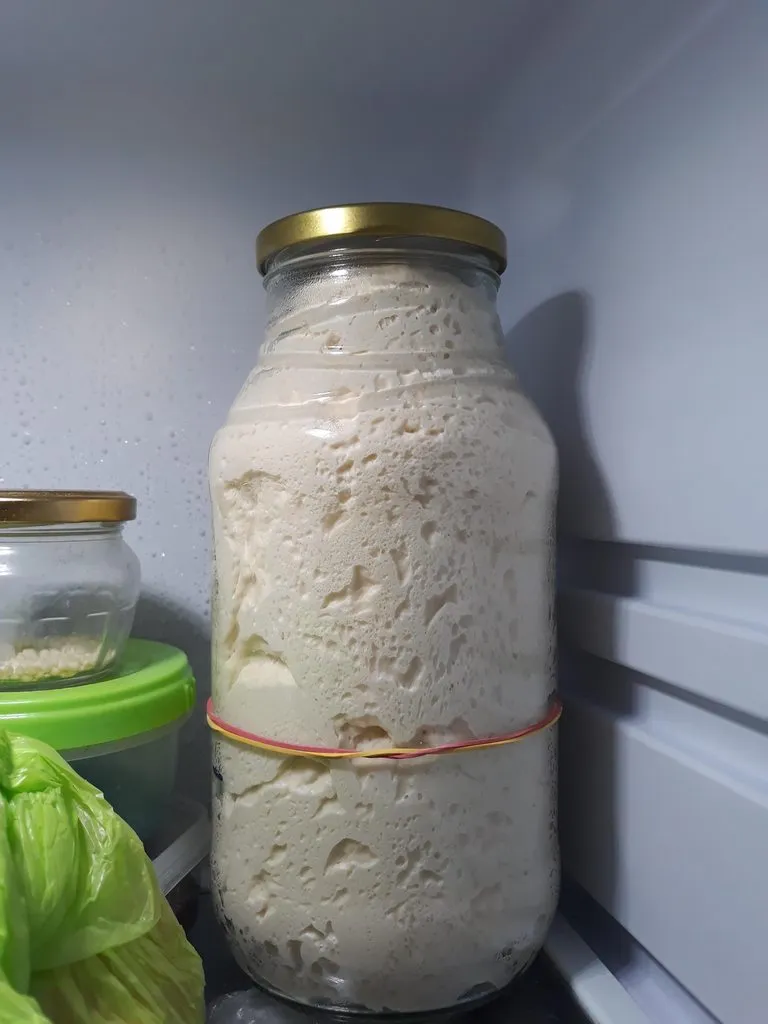 Итальянская закваска (Levito madre) - выращивание и уход