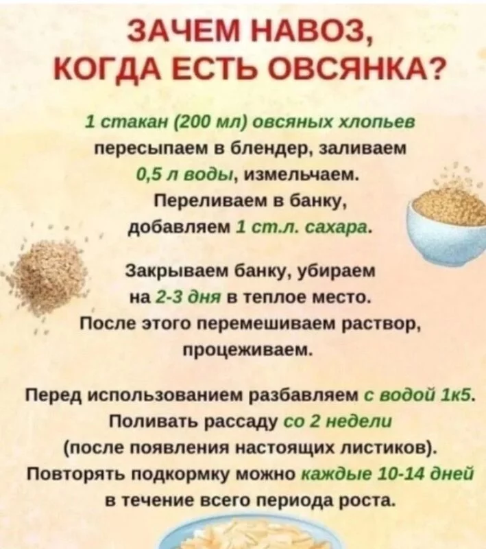 Садово-огородная  инфографика