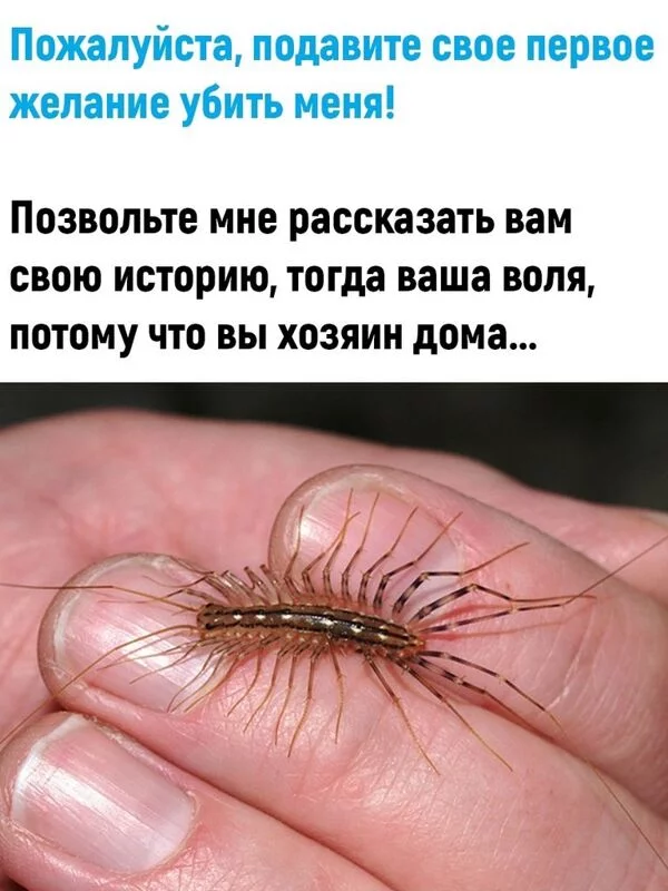 Это интересно!