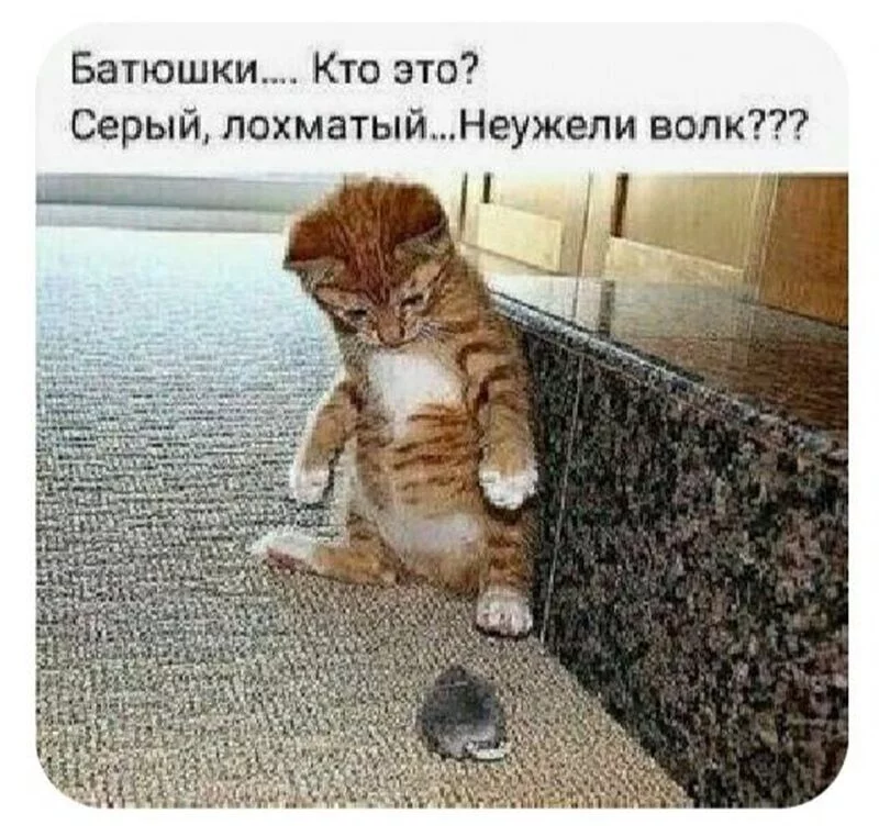Посмеялся сам - поделись с другом!!!