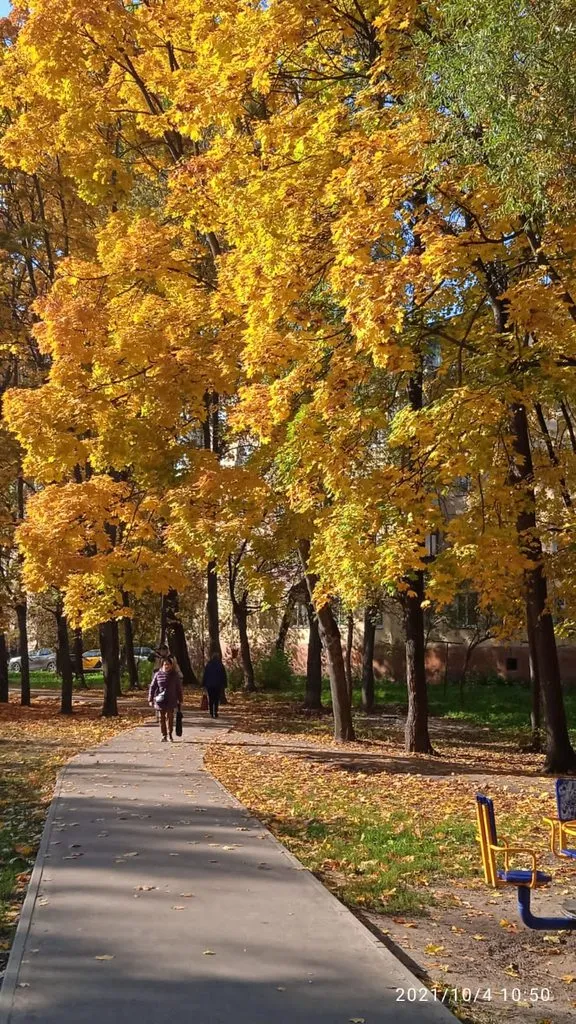 Tapтaлeтки & Ко