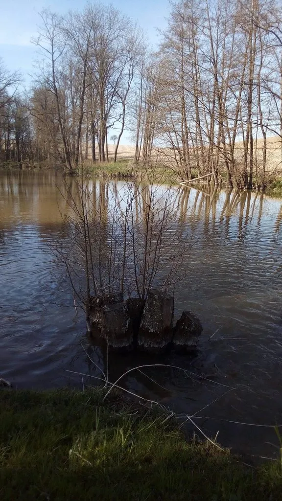 Tapтaлeтки & Ко