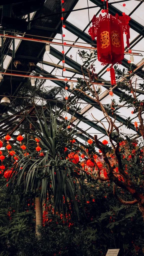 Чайная беседка