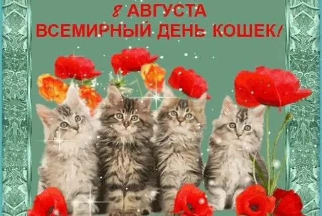Кто сказал "Мяу"?