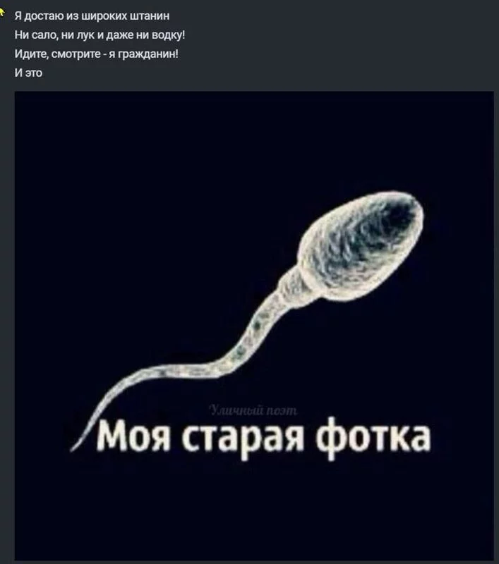 Всюду рифмы