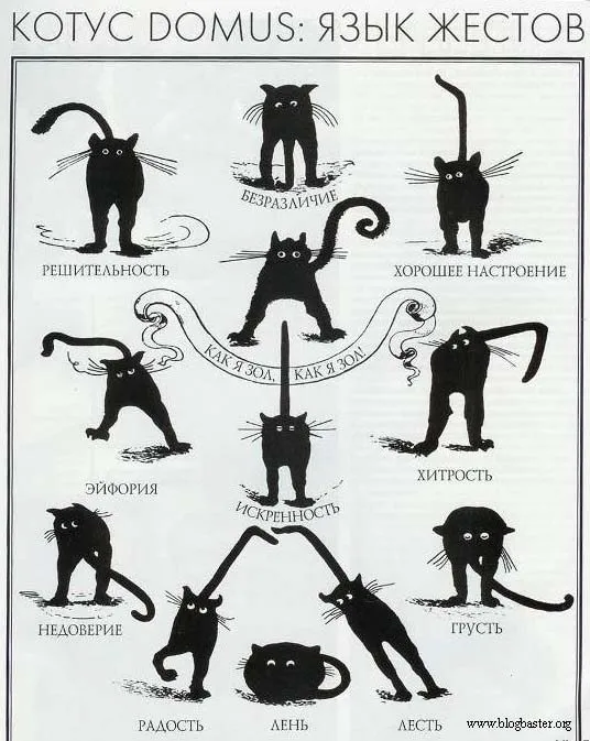 Посмеялся сам - поделись с другом!!!