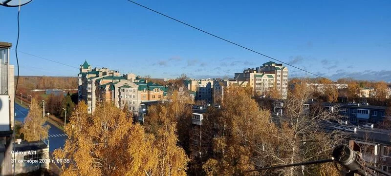 Чайная беседка