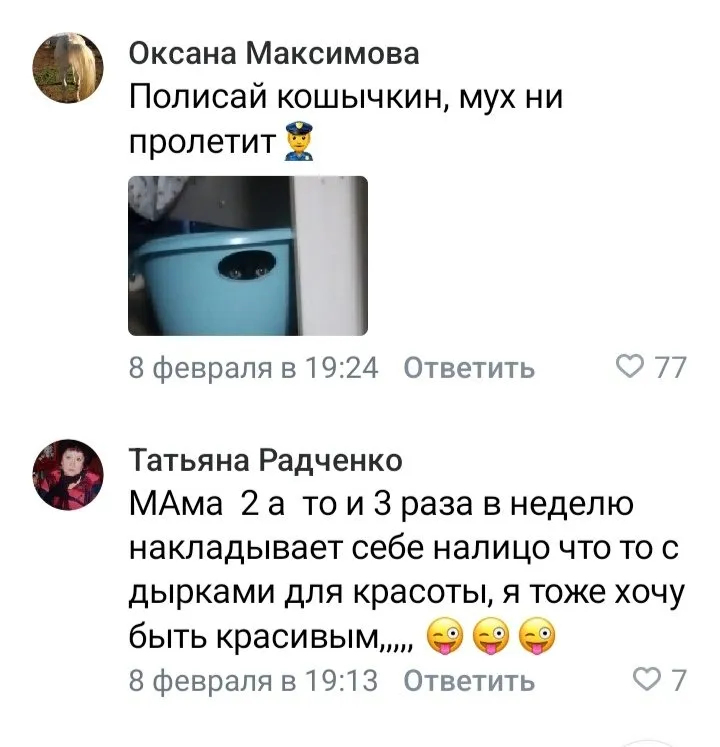 Кошичкина полиция