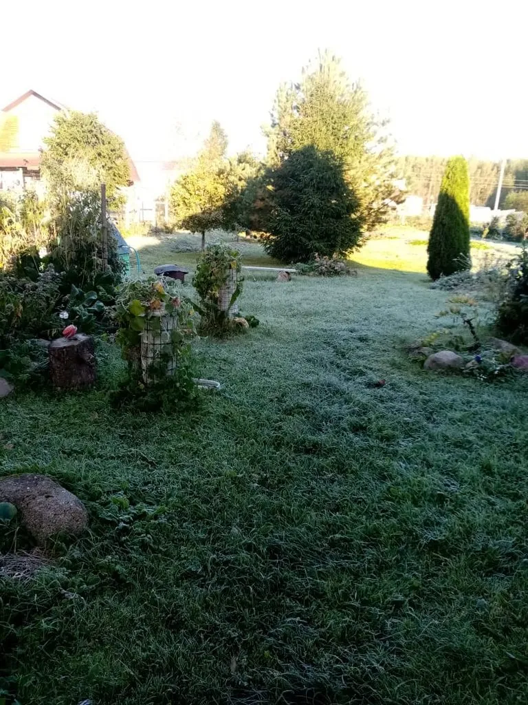 Tapтaлeтки & Ко