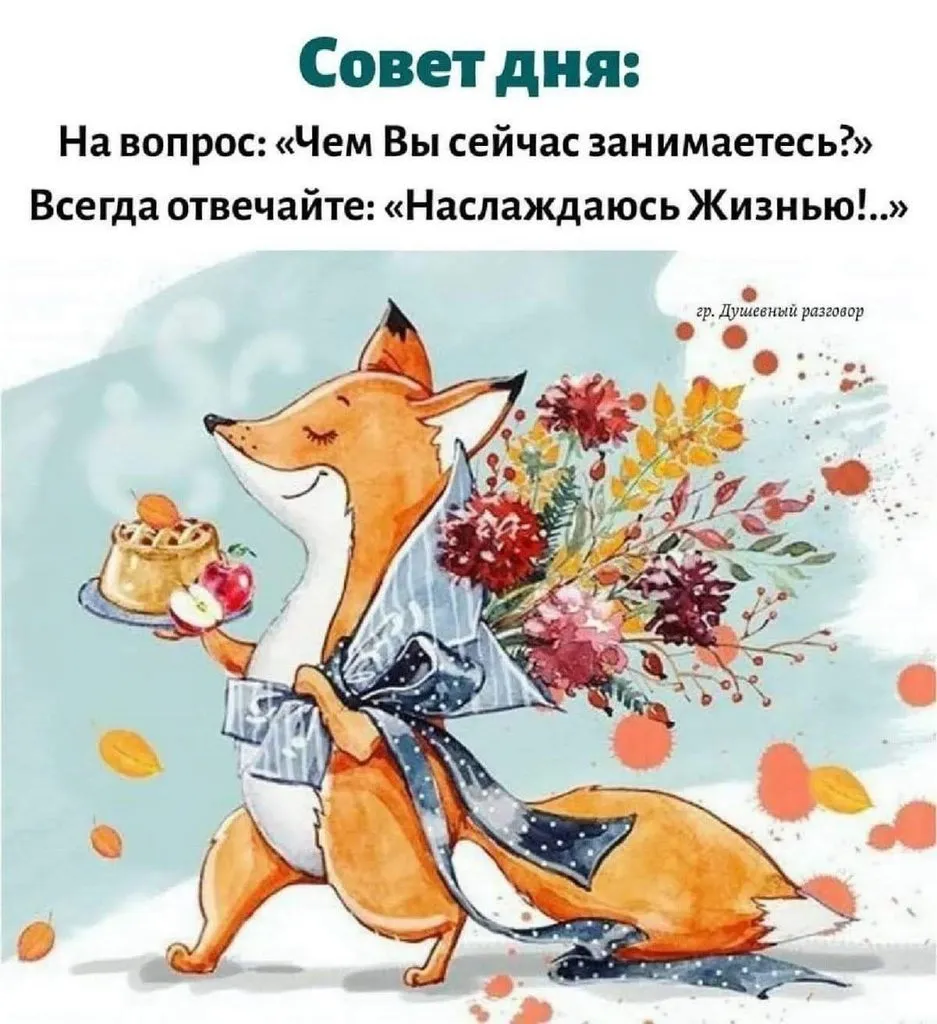 Позитивчик (фото, видео, рассказы для хорошего настроения)