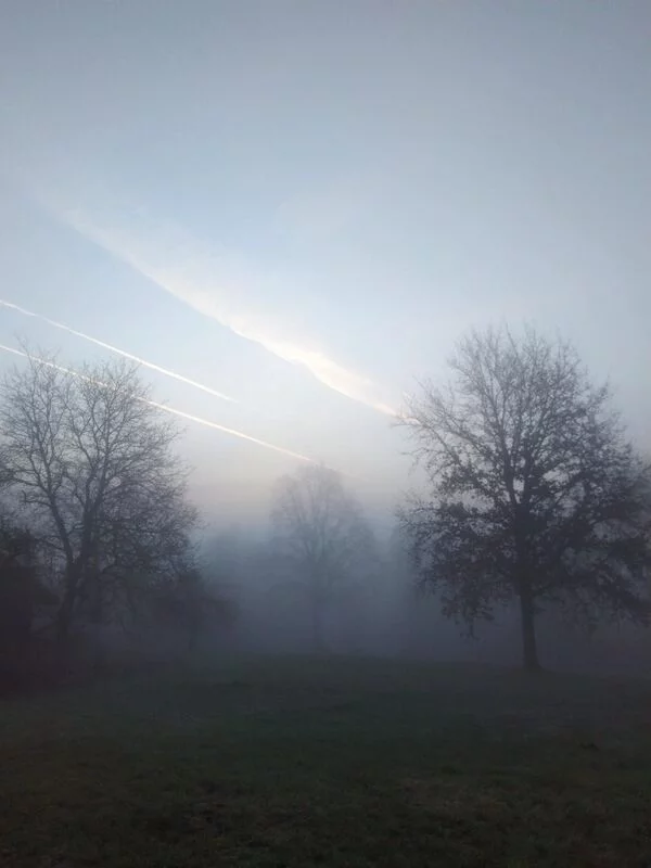 Чайная беседка