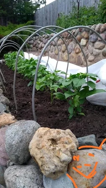 Чайная беседка