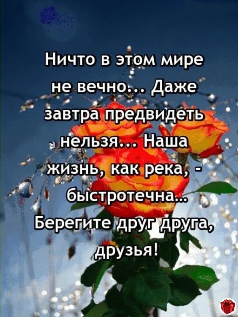 Кафе «У пани Сони»