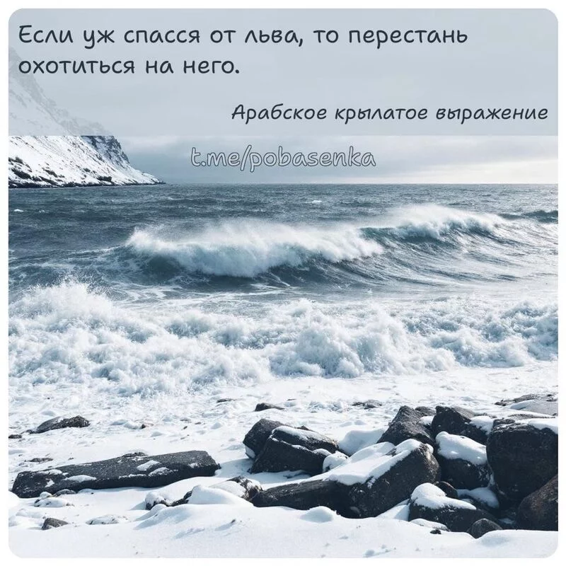 «Если уж спасся от льва, то перестань охотиться на...» height="550" width="550"