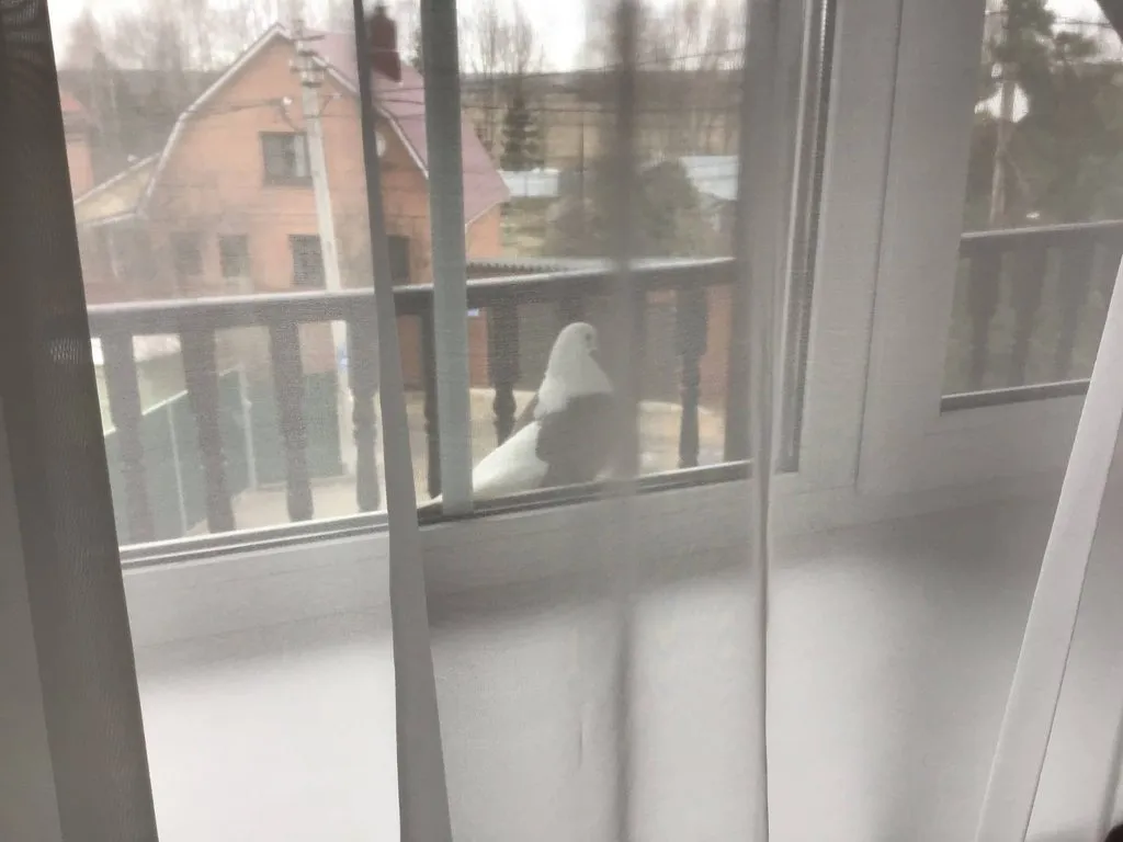 Загородная жизнь - обустройство жизни на своей земле во всем ее разнообразии