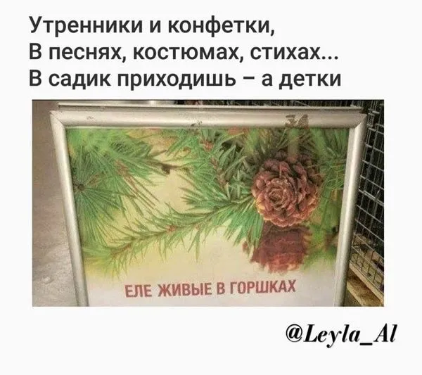 Всюду рифмы