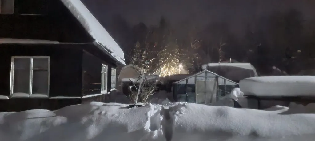 Tapтaлeтки & Ко